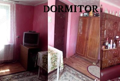 Casă cu 3 camere cu Teren 5000 Mp în Corșoru - 1