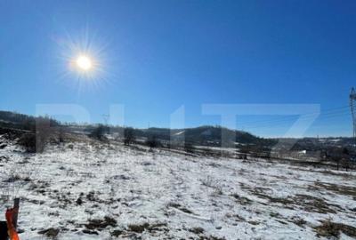 Teren extravilan, 5.400 mp, intrare Rada?eni - 1