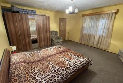 Casă individuală cu 4 camere cu Teren 2500 Mp în Ulieș - 28