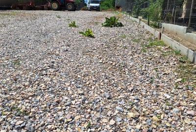 Teren de vanzare Murighiol 2700m - 1