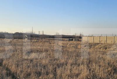 Teren intravilan 1677 mp in Bacia - 3