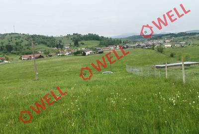 De vânzare teren intravilan în Barcani, pe strada Bisericii! - 5