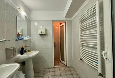 Vila  de inchiriat 11 camere  D+P+2 Timpuri noi 12 locuri de parcare 500 mp util - 26