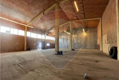 Hala industriala de inchiriat-Sibiu - 2