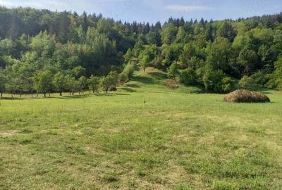 Teren Piatra-Neamt - 3