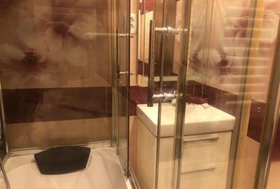 Garsoniera luminoasa la prima inchiriere,  LIDL Astra - 15