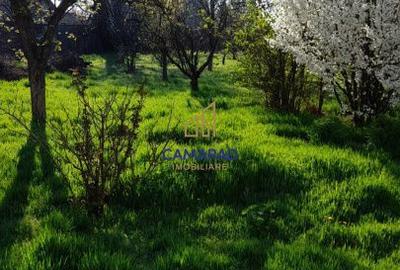 Spațiu comercial, în Tămădău Mare - 17