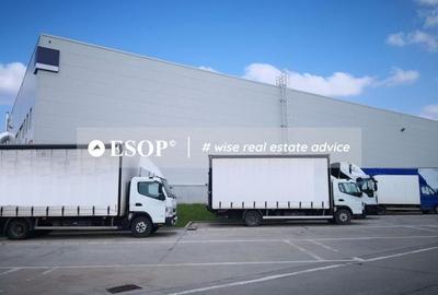 Logicor Mogosoaia - Hale / Spatii Depozitare / Logistice, 0% comision - 3