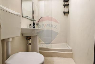 Apartament cu 2 camere semidecomandat în Cișmigiu - 12