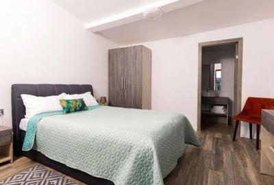 Cerghid - Vanzare pensiune / oportunitate afacere - Str. Principala - 9