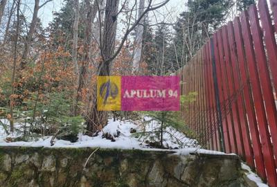 Vilă de vânzare in Sinaia - Zona Cumpătu - 10