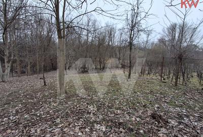 Teren Construcții intravilan de 2117 mp, în Malu Mare - 2