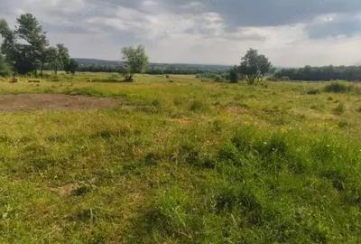 Casă cu 3 camere cu Teren 5000 Mp în Rădăuți - 5