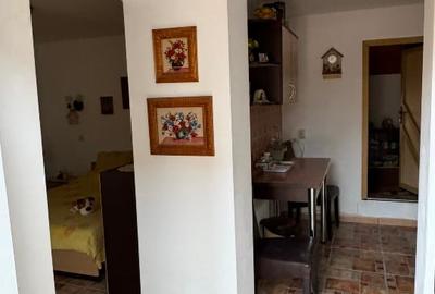 Casa+teren  Serbanesti - 5