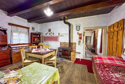 FILM! Proprietate traditionala,de poveste,cu 3.000 mp teren intravilan,Zagon,Cov - 17