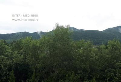 Apartament 3 camere la vila Tocile Sadu - 2