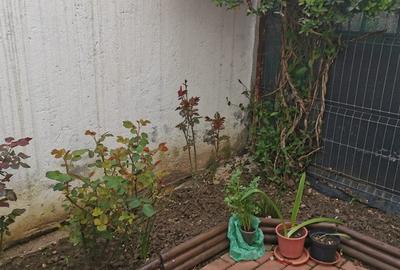 Casă cu 6 camere cu Teren 135 Mp în Alexandriei - 8