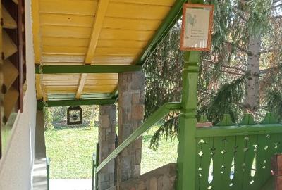 Vila unica,emblematica ptr zona,d p e m Vila unica,emblematica ptr zona,d p e m - 6