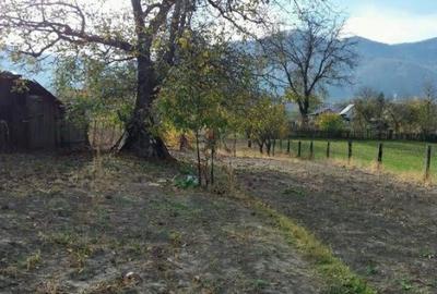 Teren de 996 mp, în Alexandru cel Bun - 5