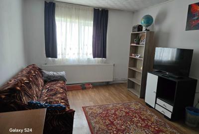 Apartament cu 2 camere decomandat în Remetea Mare - 4