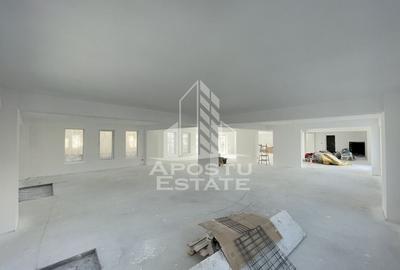 Spatiu comercial 238 mp, zona Lipovei , artera circulata - 2