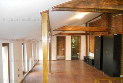 VILA P 1, 200mp utili zona UltraCentrala, Pretabila birouri - 12