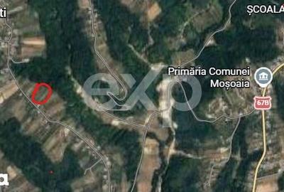 Teren de 2200 mp, în Moșoaia