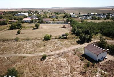 Teren de 1000 mp, în Sinești - 7