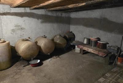 Casa la tara in Jud. Buzau - 1