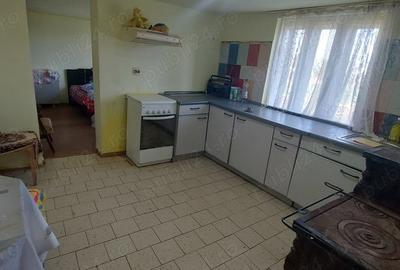 Casă cu 2 camere în Silagiu - 5