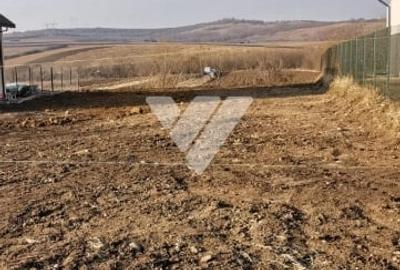 Teren agricol intravilan de 750 mp, în Hamba - 1