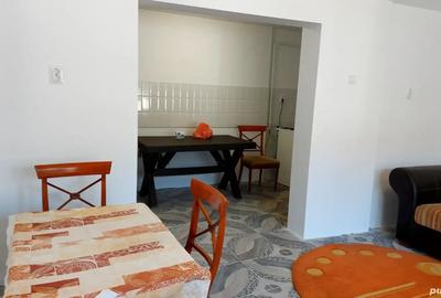 Vand casa Traian 313 - 3