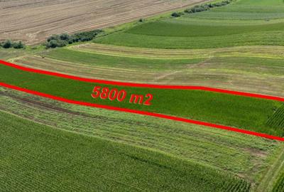 Teren agricol de vanzare - 1