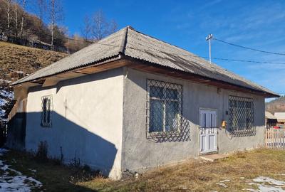 Constructie - imobil Damuc, Neamt - 1