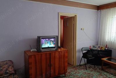 Apartament 2 camere in Campina - 4