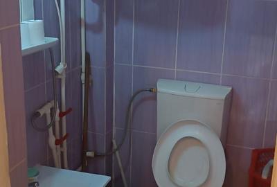 Garsonieră nedecomandată în Exterior Vest - 7