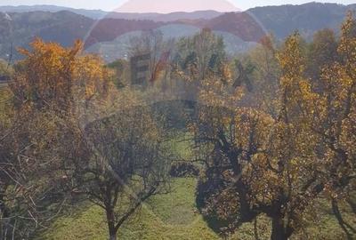 Teren Construcții intravilan de 4972 mp, în Bertea - 7