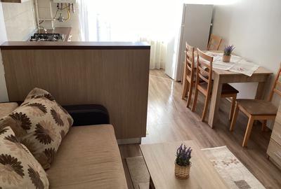 Garsonieră decomandată în Turnișor - 4