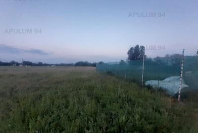 Teren aproape de Bucuresti langa padure - 10
