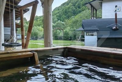 Cabana/Casa de vacanta in Molid, SV, 136 mp, teren cu 3300 mp, Iaz cu pesti - 4