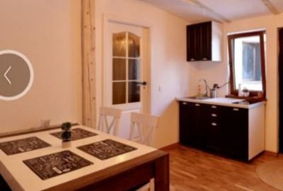 Apartament 2 camere modern-lux- Centrul Vechi Pet Friendly - 5