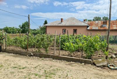 Casă cu 2 camere în Urda de Sus - 4