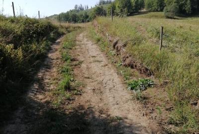 Teren Extravilan Cacica 1600mp - 5