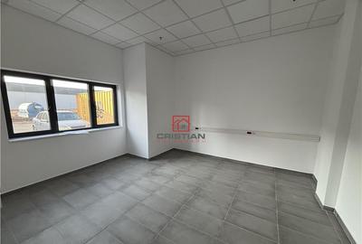 Depozit/hala/spatiu industrial Theodor Pallady - A2 - 5