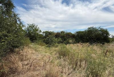 REL4001178 Teren I De Vanzare I Domnesti - 3