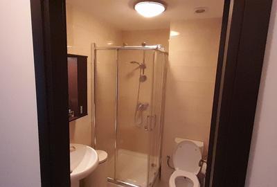 Apartament cu 2 camere decomandat în Obor - 7