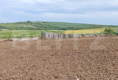 Teren Construcții intravilan de 575 mp, în Șimnicu de Sus - 3