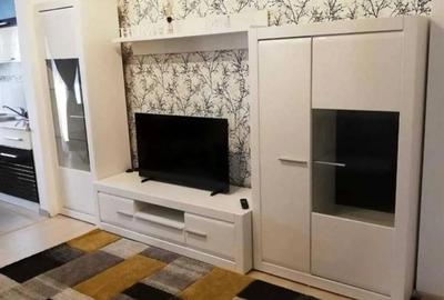 Apartament cu 3 camere de inchiriat in Dumbravita Jud Timis - 1