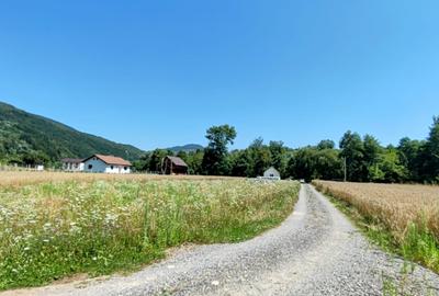 2500 mp TEREN INTRAVILAN MUNTII APUSENI, Negreni – Cluj, E60 - Mal Crisul Repede - 3