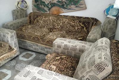 Casă cu Teren 2750 Mp în Vulpeni - 2